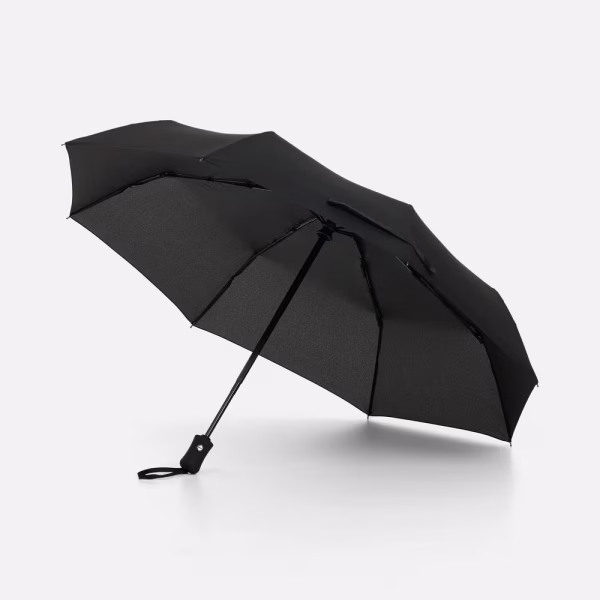 Зонт складной Monsoon