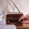 Bluetooth-колонка с радио Beatnik, коричневая