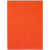 Ежедневник Flat Light, недатированный