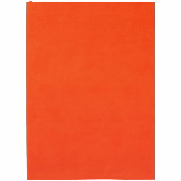Ежедневник Flat Light, недатированный