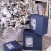 Коробка The Blue Bear, S