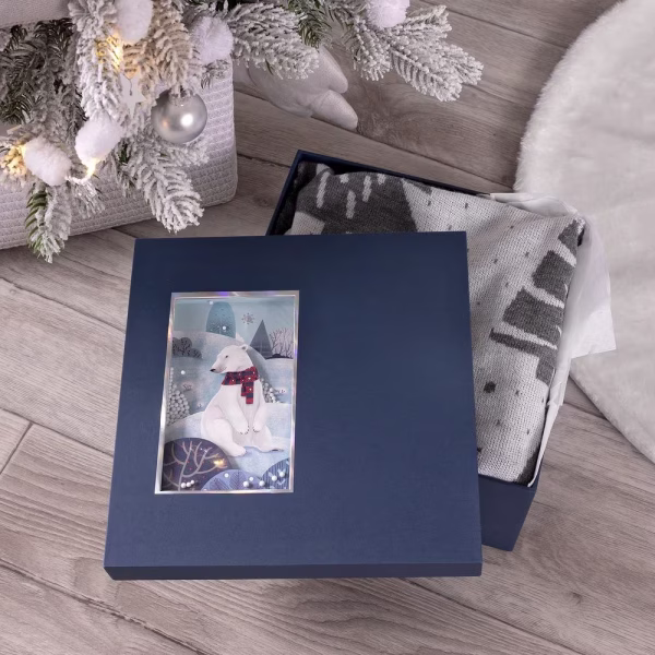 Коробка The Blue Bear, M