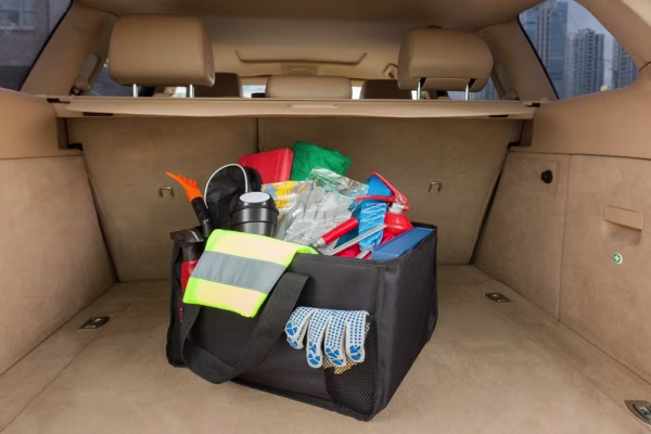 Органайзер в багажник автомобиля Carry, черный