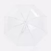 Прозрачный зонт-трость Clear