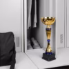 Кубок Awardee, большой