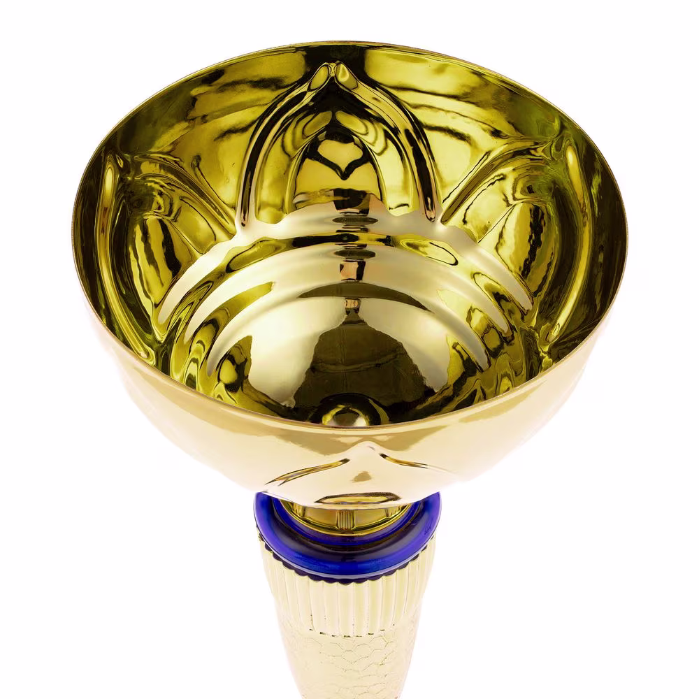 Кубок Awardee, большой