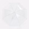 Прозрачный зонт-трость Clear