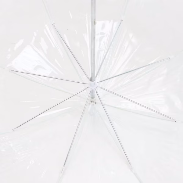 Прозрачный зонт-трость Clear